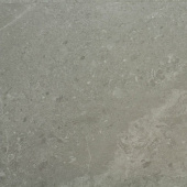 Alpine Floor  Wall LVT ЕСО 2004-14 Блайд