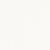 Стеновые панели Unilin Evola Clicwall 25 W03 Белый структурный Белый