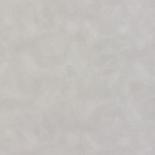 Стеновые панели Unilin Evola Clicwall F260 М02 Серый фактурный Серый