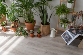 ПВХ плитка VINILAM GLUE 2,5 мм  Дуб Ален (Rich) 20468