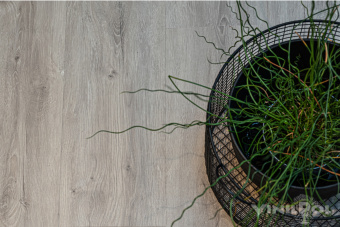 ПВХ плитка VINILPOL GLUE 7897 EIR Дуб Неаполь Glue