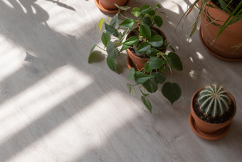 ПВХ плитка  VINILAM CLICK 3,7 мм  Дуб Ален 20468