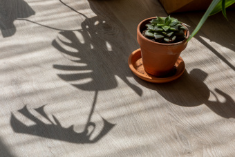 ПВХ плитка  VINILAM CLICK 3,7 мм  Дуб Ален 20468