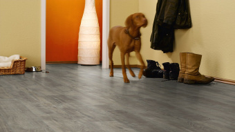 Ламинат Kronotex Exquisit D4786 Дуб Гала серый