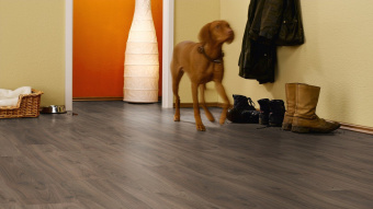 Ламинат Kronotex Dynamic Plus D4757 Орех Палаццо