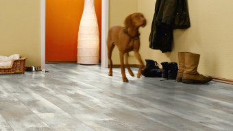 Ламинат Kronotex Exquisit   D4754 Дуб Хелла